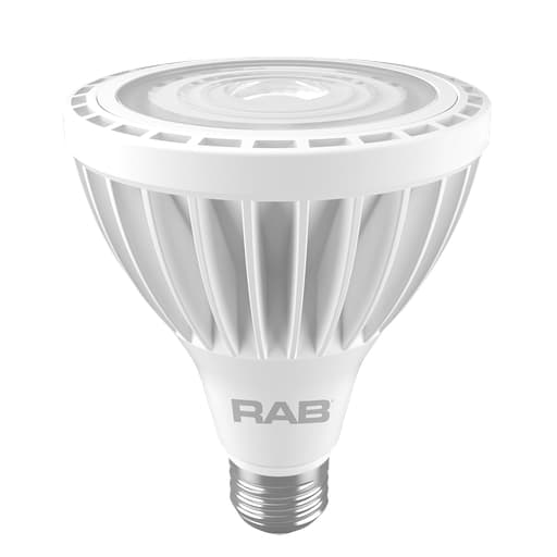Rab Electric Mfg - RAB PAR30L-19-E26-930-40D-ND PAR30L