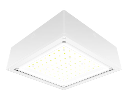 Rab Electric Mfg - RAB VANLED40FW VNDLPRF CANOPY 40W C
