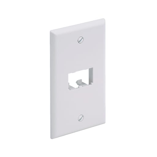 Panduit Corp - Panduit CFP2IW 1-Gang Off White Copper 2-Port Data Communication Face Plate