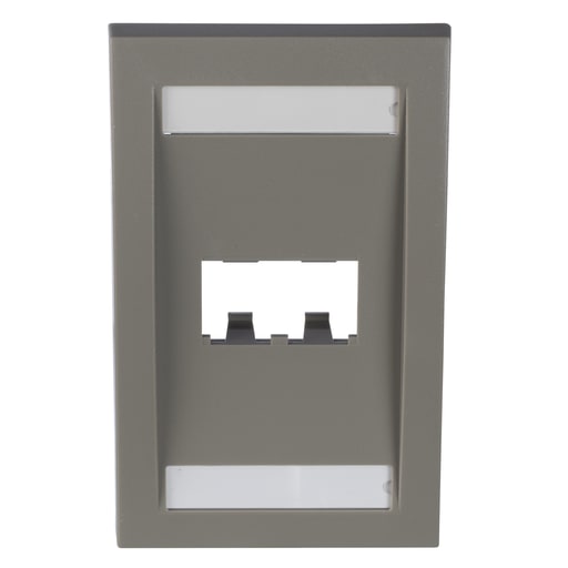 Panduit Corp - Panduit CFPE2IGY Executive, Faceplate, 2 Port, International Gray