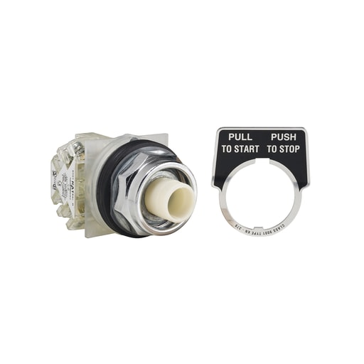 Square-D / Schneider - Square D 9001KR9H13 30 mm 10 Amp 600 VAC Push Button