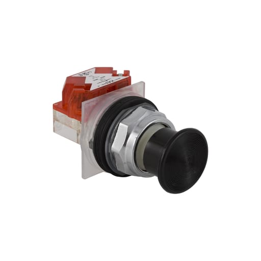 Square-D / Schneider - Square D 9001KR24BH13 30 mm 10 Amp 600 Volt Push Button