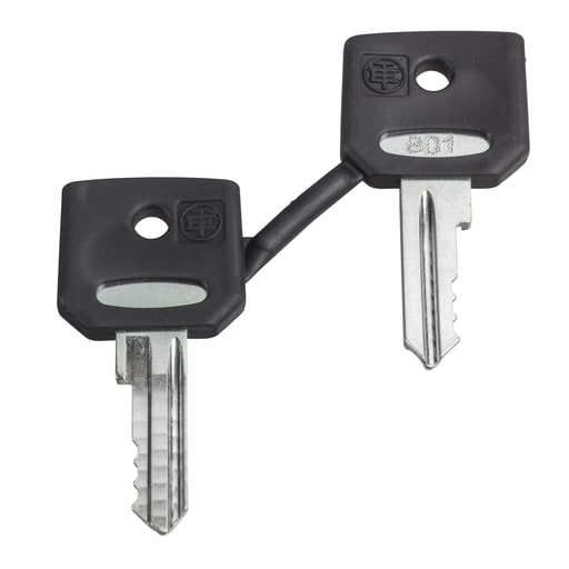 Square-D / Schneider - Square D ZBD8D1 REPLACEMENT KEYS FOR 8D1 KEY