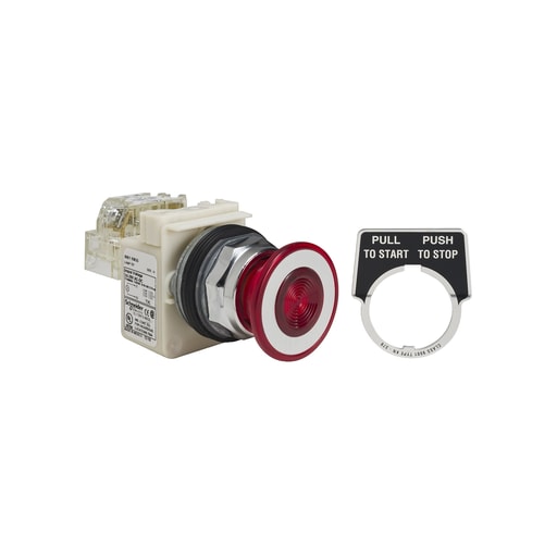 Square-D / Schneider - Square D 9001KR9P35RH13 30 mm 10 Amp 600 Volt Push Button