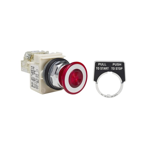 Square-D / Schneider - Square D 9001KR9P38RH13 30 mm 10 Amp 600 VAC Push Button