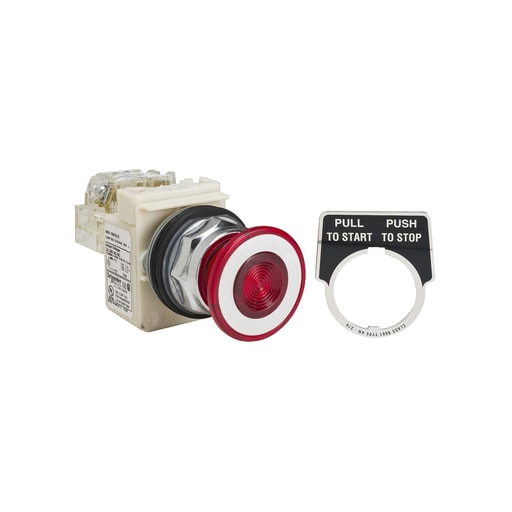Square-D / Schneider - Square D 9001KR9P35LRRH13 30 mm 10 Amp 600 Volt Push Button