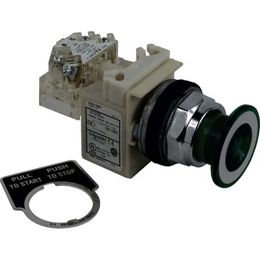 Square-D / Schneider - Square D 9001KR9P1GH13 30 mm 10 Amp 600 VAC Push Button