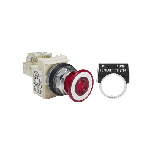 Square-D / Schneider - Square D 9001KR9P38LRRH13 30 mm 10 Amp 600 Volt Push Button