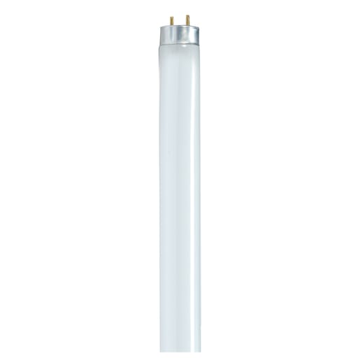 Satco Products, Incorporated - Satco S8420 32W T8 Fluorescent, 4100K Cool White, 85 CRI, Medium Bi-Pin Base
