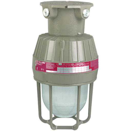 Killark - Killark EMI20X2G Incandescent 200W 3/4" Ceiling Mount with Guard