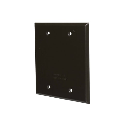 Raco Manufacturing - Bell 5175-2 2-Gang Weatherproof Cover Blank, Bronze