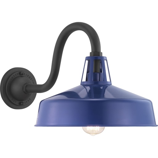 Progress Lighting - Progress P560091-091 Cedar Springs Collection Navy One-Light Extra Large Wall Lantern