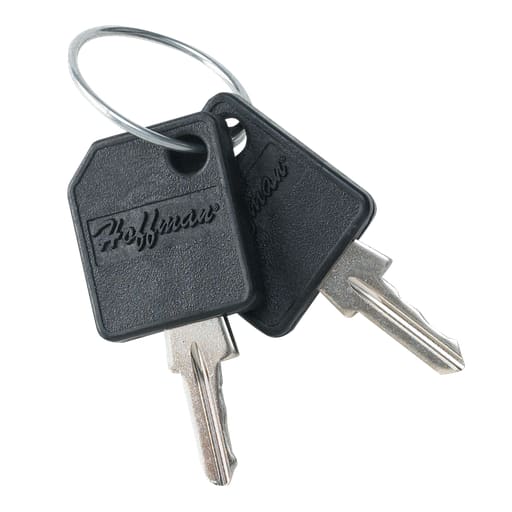 nVent Hoffman - Hoffman E2233KEY Replacement Keys, Zinc