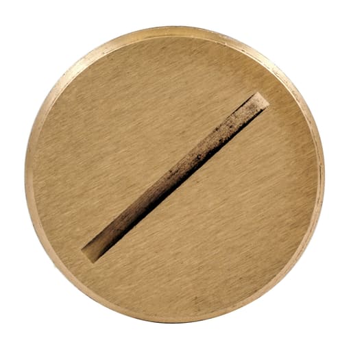 Hubbell Wiring Device - Hubbell S5007 1-1/2 Inch Fine Thread Brass Flush Plug