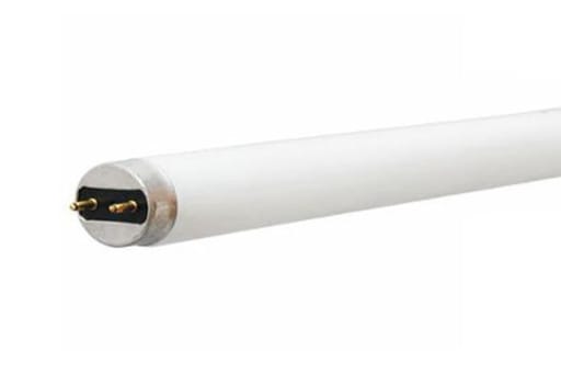 GE Lighting - GEL F32T8/25WSPX50EC 72131 FLUORESC