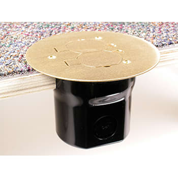The Wiremold Co - Wiremold 862C 15 Amp 125 Volt Brown PVC Duplex Receptacle Floor Box Assembly with Brass Cover