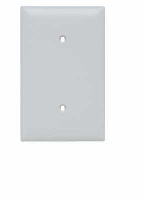 Pass & Seymour / Legrand - Pass & Seymour TP14-W 1Gang Wall Plate, Blank, Nylon, Standard - White