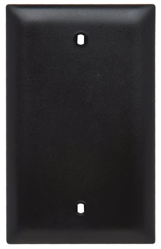 Pass & Seymour / Legrand - Pass & Seymour TP13-BK 1Gang Wall Plate, Blank, Box Mount, Nylon, Standard - Black
