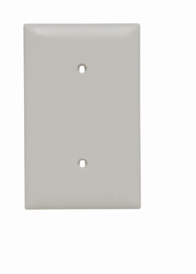 Pass & Seymour / Legrand - Pass & Seymour TP14-LA 1Gang Wall Plate, Blank, Nylon, Standard - Light Almond