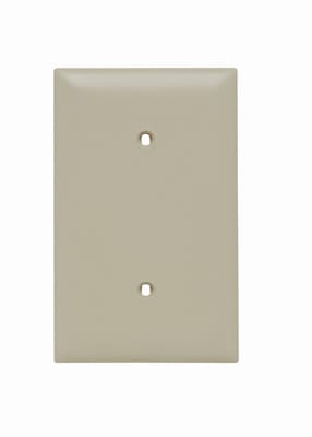 Pass & Seymour / Legrand - Pass & Seymour TP14-I 1Gang Wall Plate, Blank, Nylon, Standard - Ivory