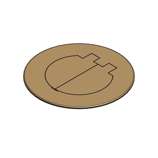 Thomas & Betts Co - Carlon E97BR2D Dual Service Brass Floor Box Cover