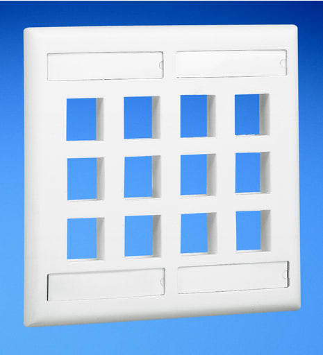 Panduit Corp - Panduit NK12FIGY Double gang, flush mount Verticalical faceplate with labels. Accepts up to twelve NetKey® Modules.