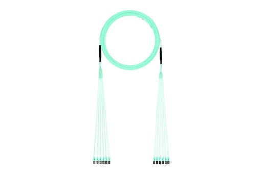 Panduit Corp - PAN FXTYPL2L2SAF300 OM3,12-Fiber,In