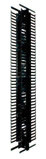 Panduit Corp - PAN PRV679 PR VERT CBLMGMT,2side,42