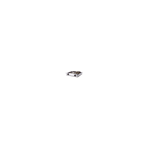 American Power Conversion - APC SYAFSU13 SYMMETRA LX FRAME ELECTRONICS MODULE- 200/208V