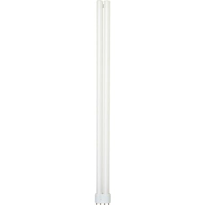 Eiko - EIKO DT40/41/RS 40W DUO-TUBE 4100K