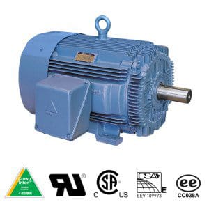 Worldwide Electric Corp - WorldWide Electric HHI2-18-145T 2HP Hyundai Crown Triton™ Severe Duty Motor, 1800 RPM, 208-230/460V 3-Phase, 145T Frame, TEFC Enclosure, Rigid Base