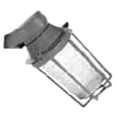 Appleton Electric - APP VPAN10125G LTG INCAND ENCL & GS