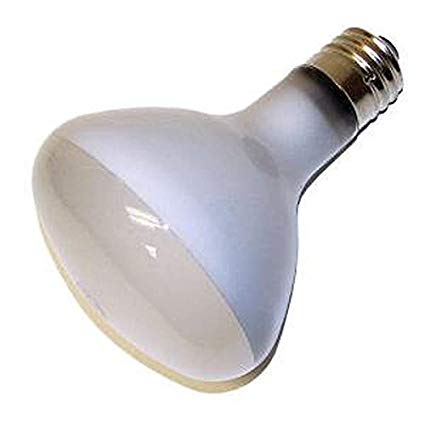 GE Lighting - GEL 300R/3FL-120 21254 INCANDESCE