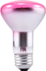 LEDVANCE Sylvania - Sylvania Ecologic 14747 120 Volt 250 W 100 CRI Red E26 Medium Base R40 Reflector Incandescent Lamp