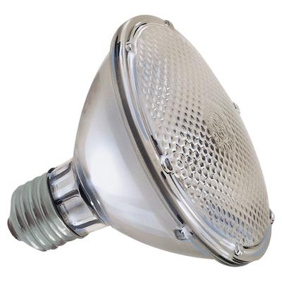 GE Lighting - GEL 48PAR30HIR+/FL30 76126 PARS AND