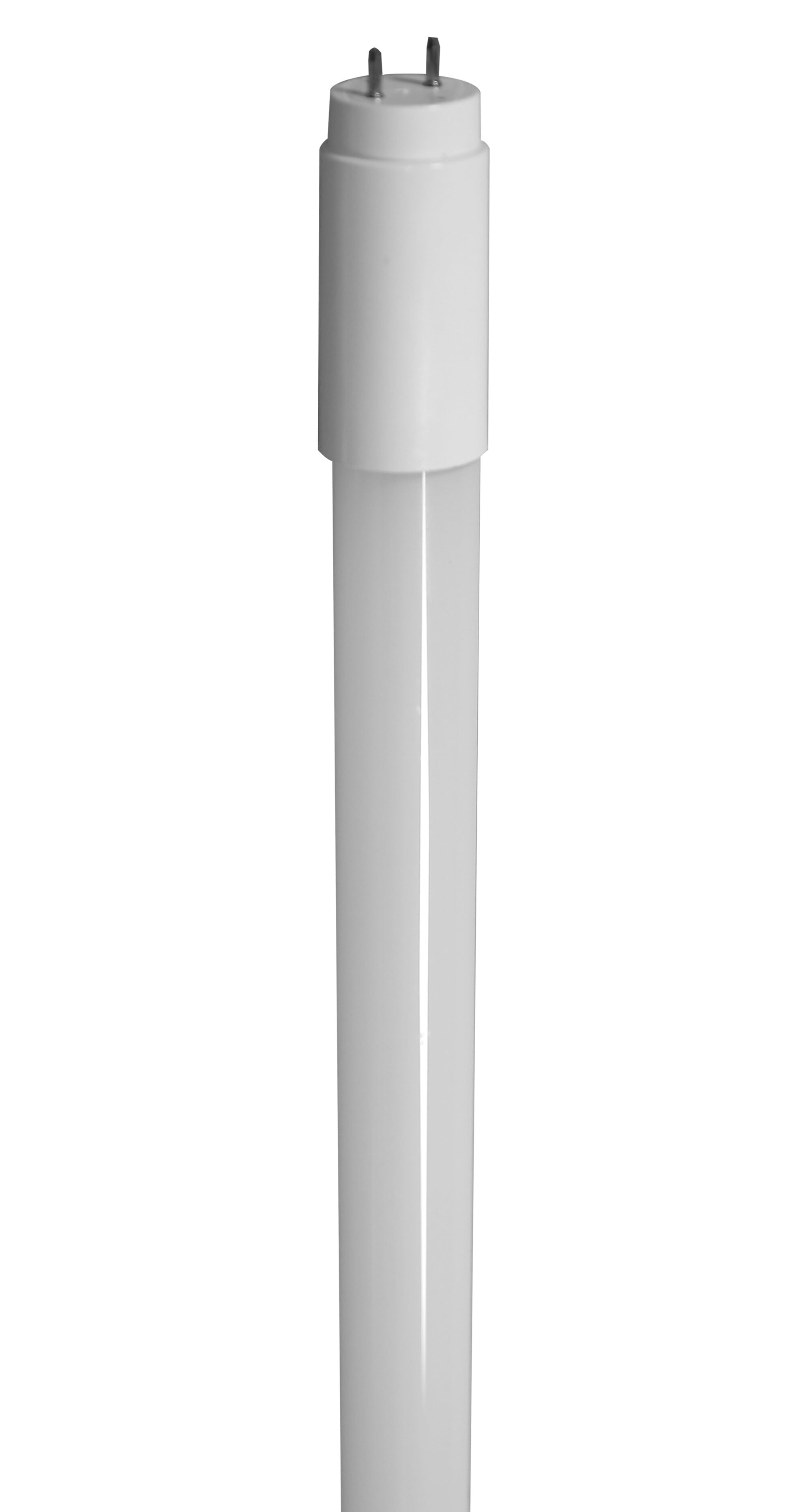 Eiko - EIKO LED125WT8/48/850-DBL-G9D GLASS