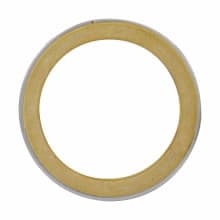 Crouse-Hinds - CRSH SG6SS 2 SEALING GASKET 304SS