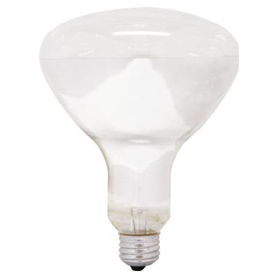 GE Lighting - GEL 120R40FL/STG-PQ6-130 47725 IN