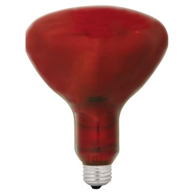 GE Lighting - GEL 250R40/10-6PK-120 37771 INCAN