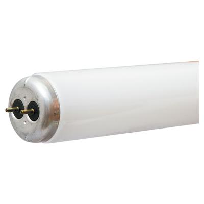 GE Lighting - GEL F40C50/ECO 80096 FLUORESCENT F4