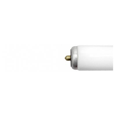 GE Lighting - GEL F96T12/C50 13752 SLIM LINE / F2