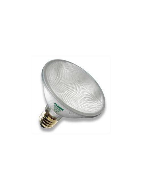LEDVANCE Sylvania - SYL 5-130V-39PAR30/HAL/NFL25-130V/1