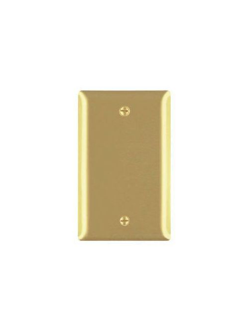 Pass & Seymour / Legrand - Pass & Seymour SA13 1Gang Wall Plate, Blank, Standard - Aluminum