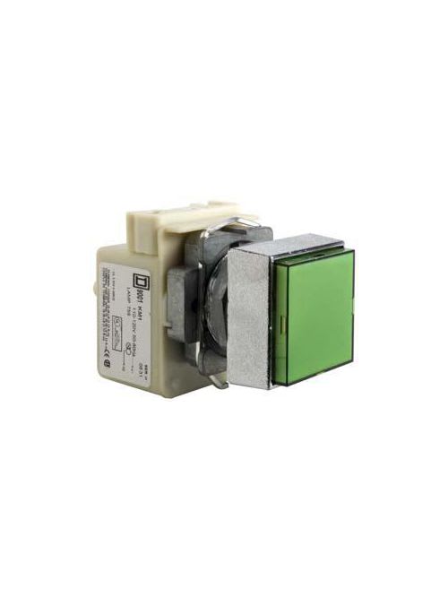 Square-D / Schneider - Square D 9001KXPA1G 30 mm 120 VAC Green Standard Single Pilot Light