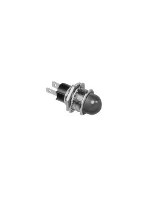 Square-D / Schneider - Square D 2550420020 22 mm Red NEMA 13 Pilot Light Lens