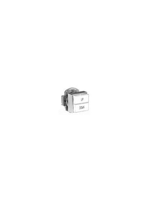 Square-D / Schneider - Square D 9001KXRCGR 30 mm Red Body Metal Bezel Momentary Square Dual Non-Illuminated Push Button Operator