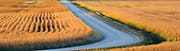 Automated Controls Process in Agriculture